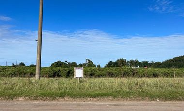 Lotes en Av. 100 y 98 - 39 y 41