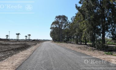 Lote en venta en Puerto Nizuc - Oportunidad de inversión en Guillermo Hudson