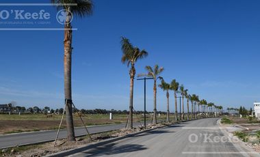 Lote en venta en Puerto Nizuc - Oportunidad de inversión en Guillermo Hudson