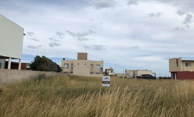 Terreno - Mar del Sur