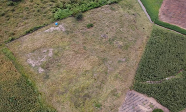 Terreno en Venta sobre Carretera Federal 80 – Zapotlanejo-Tepatitlán