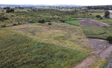 Terreno en Venta sobre Carretera Federal 80 – Zapotlanejo-Tepatitlán