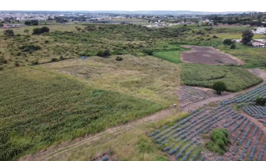 Terreno en Venta sobre Carretera Federal 80 – Zapotlanejo-Tepatitlán