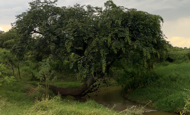 Terreno en Venta sobre Carretera Federal 80 – Zapotlanejo-Tepatitlán