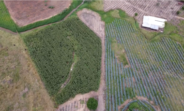 Terreno en Venta sobre Carretera Federal 80 – Zapotlanejo-Tepatitlán