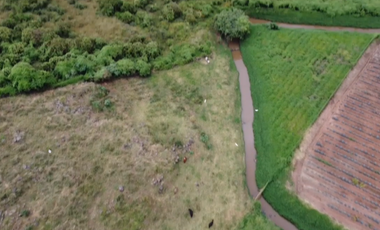 Terreno en Venta sobre Carretera Federal 80 – Zapotlanejo-Tepatitlán