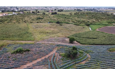 Terreno en Venta sobre Carretera Federal 80 – Zapotlanejo-Tepatitlán