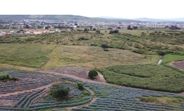 Terreno en Venta sobre Carretera Federal 80 – Zapotlanejo-Tepatitlán