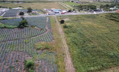 Terreno en Venta sobre Carretera Federal 80 – Zapotlanejo-Tepatitlán