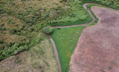 Terreno en Venta sobre Carretera Federal 80 – Zapotlanejo-Tepatitlán