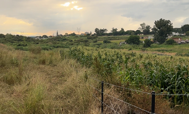 Terreno en Venta sobre Carretera Federal 80 – Zapotlanejo-Tepatitlán