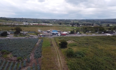 Terreno en Venta sobre Carretera Federal 80 – Zapotlanejo-Tepatitlán