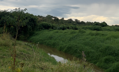 Terreno en Venta sobre Carretera Federal 80 – Zapotlanejo-Tepatitlán