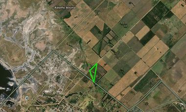 Quinta en venta - 2 Dormitorios 1 Baño - 5.000Mts2 - Adolfo Alsina