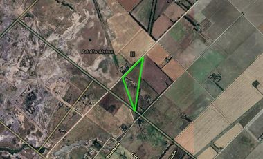 Quinta en venta - 2 Dormitorios 1 Baño - 5.000Mts2 - Adolfo Alsina