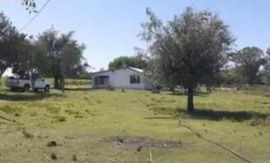 Quinta en venta - 2 Dormitorios 1 Baño - 5.000Mts2 - Adolfo Alsina