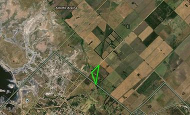 Quinta en venta - 2 Dormitorios 1 Baño - 5.000Mts2 - Adolfo Alsina