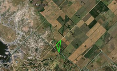 Quinta en venta - 2 Dormitorios 1 Baño - 5.000Mts2 - Adolfo Alsina