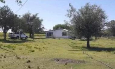 Quinta en venta - 2 Dormitorios 1 Baño - 5.000Mts2 - Adolfo Alsina