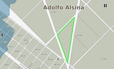 Quinta en venta - 2 Dormitorios 1 Baño - 5.000Mts2 - Adolfo Alsina