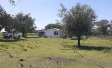 Quinta en venta - 2 Dormitorios 1 Baño - 5.000Mts2 - Adolfo Alsina