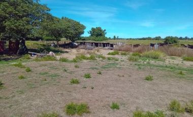 Quinta en venta - 2 Dormitorios 1 Baño - 5.000Mts2 - Adolfo Alsina