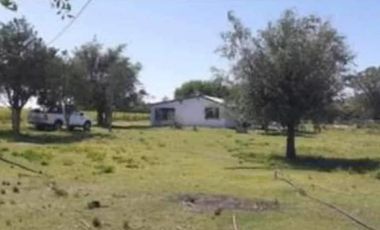 Quinta en venta - 2 Dormitorios 1 Baño - 5.000Mts2 - Adolfo Alsina