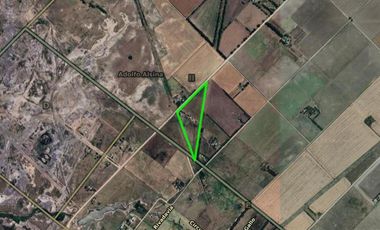 Quinta en venta - 2 Dormitorios 1 Baño - 5.000Mts2 - Adolfo Alsina