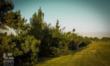 Terreno en venta - 1008Mts2 - Necochea