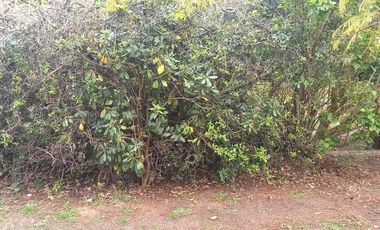 Terreno en venta - 340Mts2 - Manuel B. Gonnet, La Plata