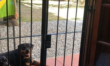 Casa en venta - 4 Dormitorios 3 Baños 2 Cocheras - 440Mts2 - Necochea