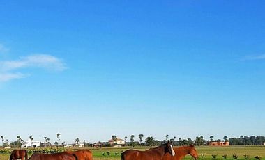 Terreno en venta - 3800Mts2 - Cañuelas