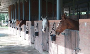 Terreno en venta - 3800Mts2 - Cañuelas