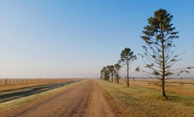 Terreno en venta - 3800Mts2 - Cañuelas