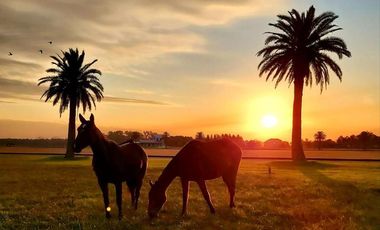 Terreno en venta - 20690Mts2 - Cañuelas