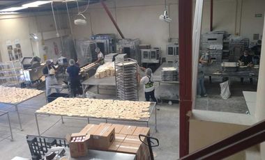 Bodega Venta Tlalpan