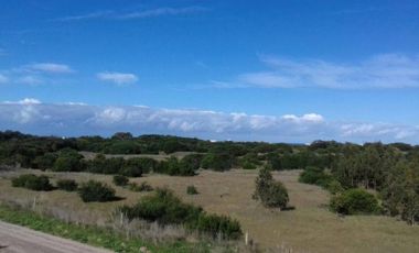 Terreno en venta - 184980Mts2 - Necochea