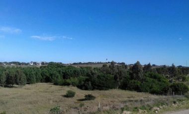 Terreno en venta - 184980Mts2 - Necochea