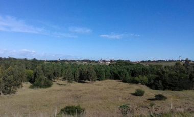 Terreno en venta - 184980Mts2 - Necochea