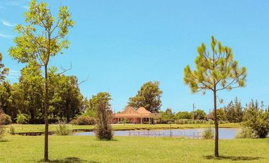 Terreno en venta - 1.000mts2 - San Vicente