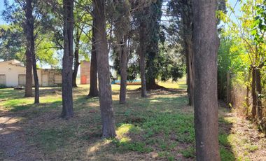Casa en venta - 1 Dormitorio 1 Baño - 17000Mts2 - Chacabuco