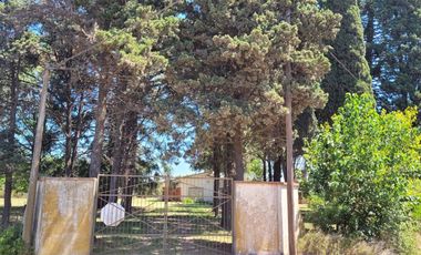 Casa en venta - 1 Dormitorio 1 Baño - 17000Mts2 - Chacabuco