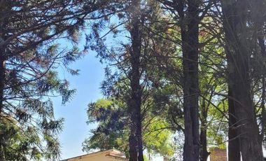 Casa en venta - 1 Dormitorio 1 Baño - 17000Mts2 - Chacabuco