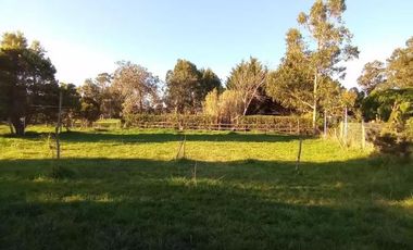 Casa en venta - 3 Dormitorios 2 Baños - 800Mts2 - Miramar