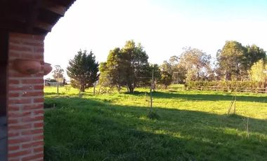 Casa en venta - 3 Dormitorios 2 Baños - 800Mts2 - Miramar