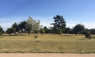 Terreno - Mar del Sur