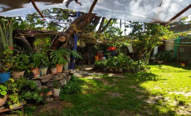 Venta terreno en Ticomán Gustavo A. Madero