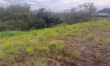 VENDO LOTE EN EL SECTOR VA ARMENIA COD