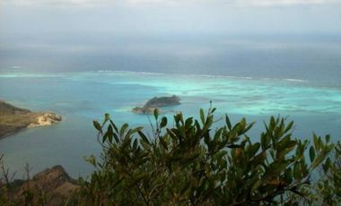 Terreno en Isla Providencia - para desarrollo Turistico
