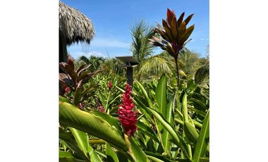 Venta de Hotel- Finca  con 9 Hectáreas y salida al mar